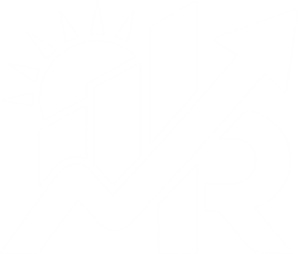 MICRO RISE logo